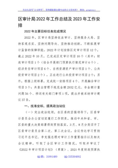区审计局2022年工作总结及2023年工作安排