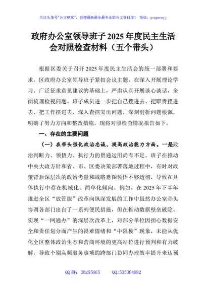 政府办公室领导班子2025年度民主生活会对照检查材料（五个带头）
