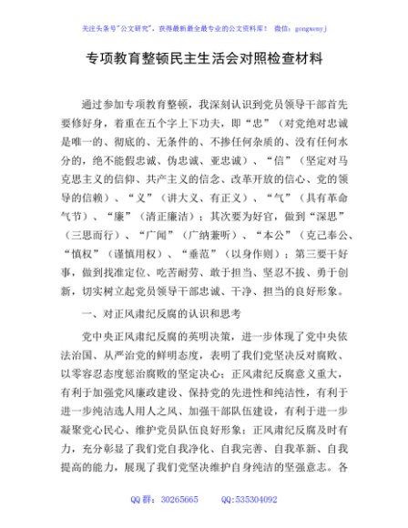 正风肃纪专项教育整顿民主生活会对照3100字
