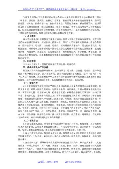 2023年主题教育检视问题工作方案