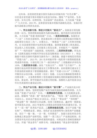 党建引领乡村振兴经验交流材料 (2)
