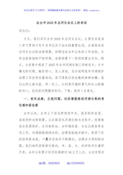 在全市2025年总河长会议上的讲话