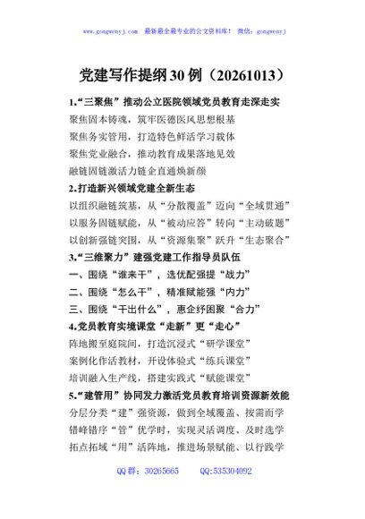 党建写作提纲30例（20261013）