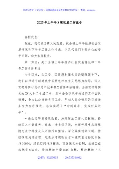 2025年上半年X镇政府工作报告