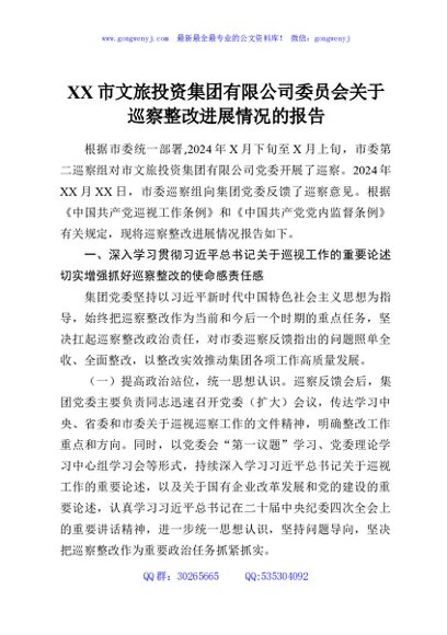 XX市文旅投资集团有限公司委员会关于巡察整改进展情况的报告