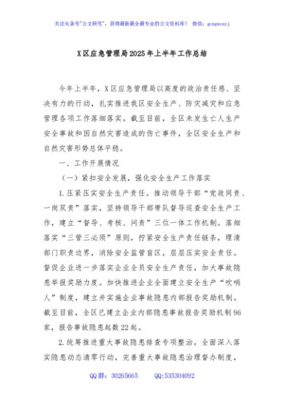 X区应急管理局2025年上半年工作总结
