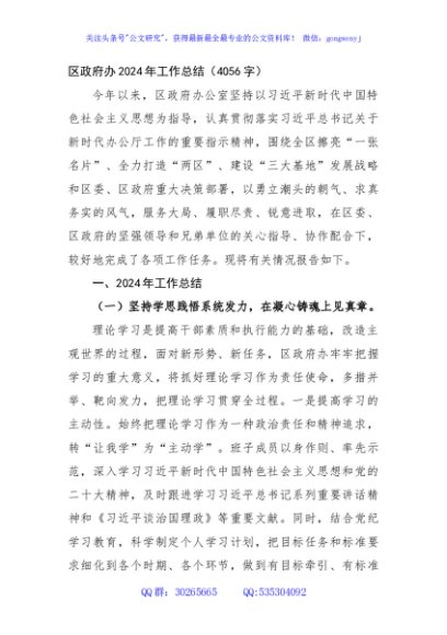 区政府办2024年工作总结（4056字）