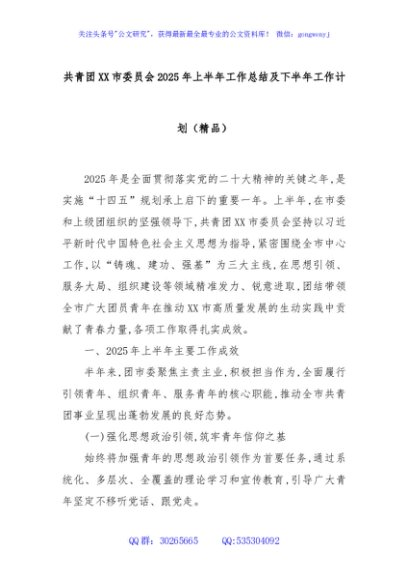共青团XX市委员会2025年上半年工作总结及下半年工作计划（精品）