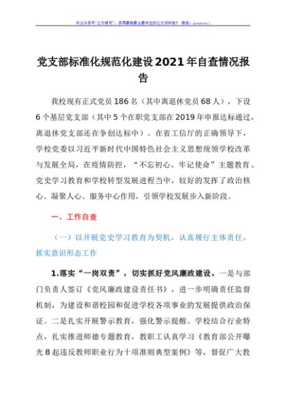 党支部标准化规范化建设2021年自查情况报告