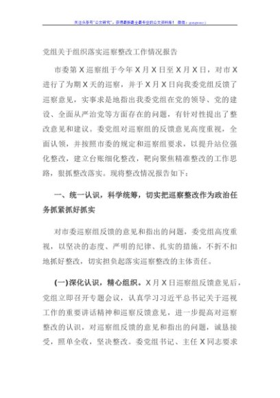 党组关于组织落实巡察整改工作情况报告