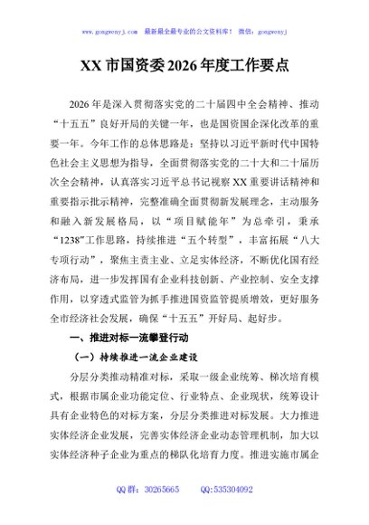 XX市国资委2026年度工作要点