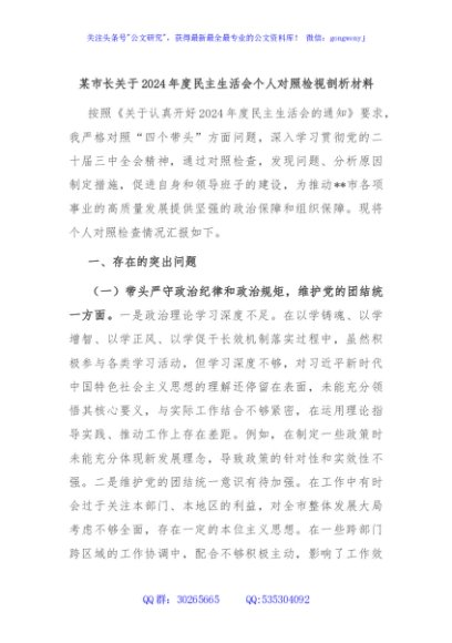 某市长关于2024年度民主生活会个人对照检视剖析材料
