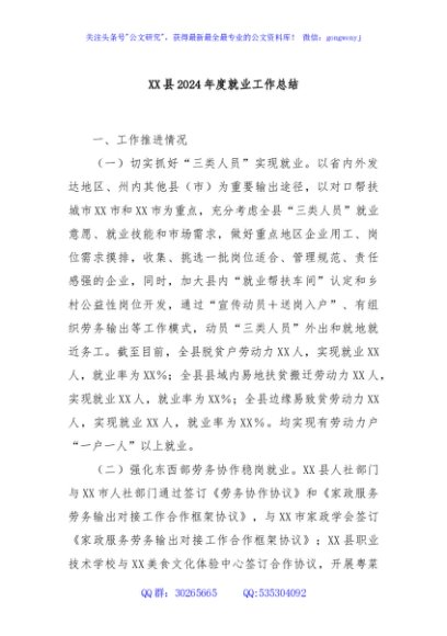 XX县2024年度就业工作总结