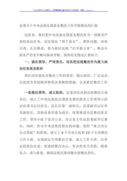 县委关于中央巡视反馈意见整改工作开展情况的汇报