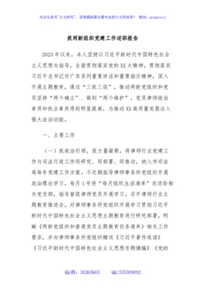 XX市司法局2023年抓两新组织党建工作述职报告
