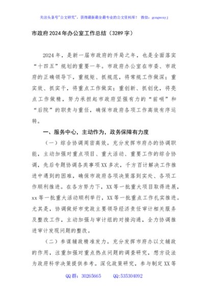 市政府2024年办公室工作总结（3289字）