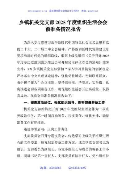 乡镇机关党支部2025年度组织生活会会前准备情况报告