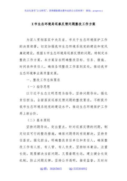 X市生态环境局巡察反馈问题整改工作方案