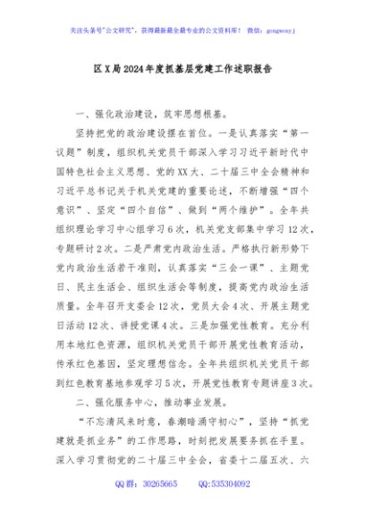 区X局2024年度抓基层党建工作述职报告