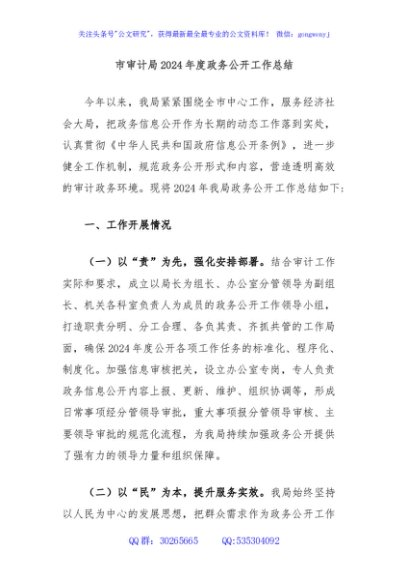 市审计局2024年度政务公开工作总结