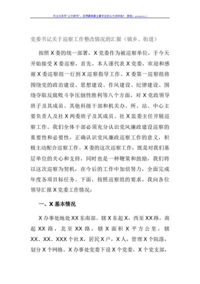 党委书记关于巡察工作整改情况的汇报（镇乡、街道）