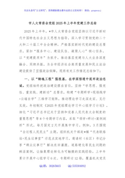 市人大常委会党组2025年上半年党建工作总结