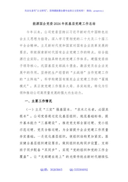 能源国企党委2024年抓基层党建工作总结