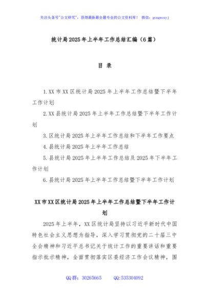 (6篇)统计局2025年上半年工作总结汇编