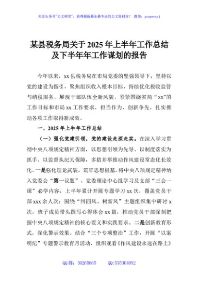 某县税务局关于2025年上半年工作总结及下半年年工作谋划的报告