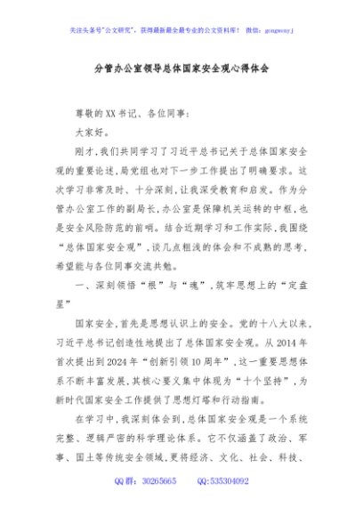 分管办公室领导总体国家安全观心得体会