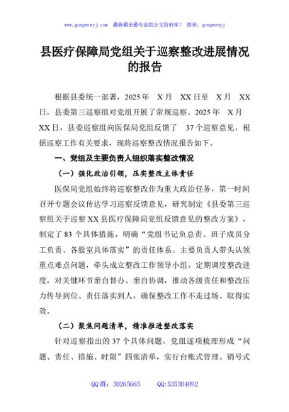 县医疗保障局党组关于巡察整改进展情况的报告