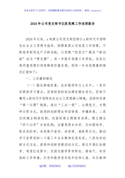 2024年公司党支部书记抓党建工作述职报告