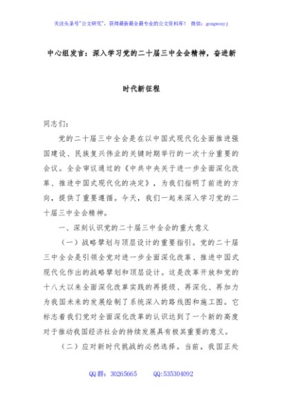 中心组发言：深入学习党的二十届三中全会精神，奋进新时代新征程
