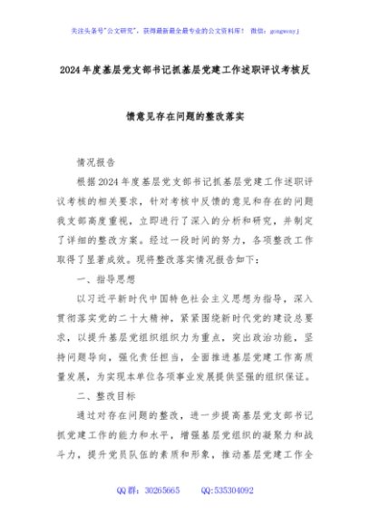 2024年度基层党支部书记抓基层党建工作述职评议考核反馈意见存在问题的整改落实