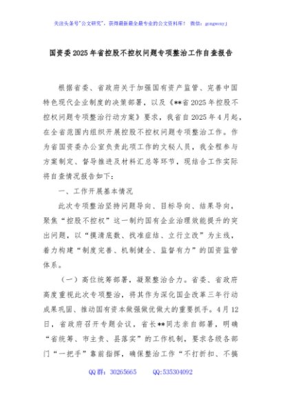 国资委2025年省控股不控权问题专项整治工作自查报告
