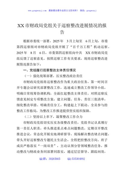 XX市财政局党组关于巡察整改进展情况的报告