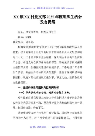 XX镇XX村党支部2025年度组织生活会发言提纲