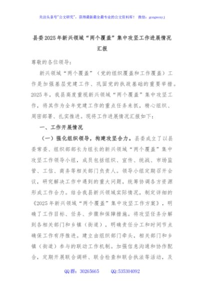 县委2025年新兴领域“两个覆盖”集中攻坚工作进展情况汇报