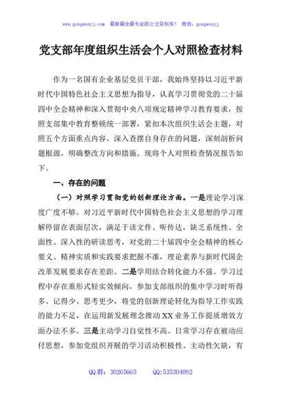 党支部年度组织生活会个人对照检查材料