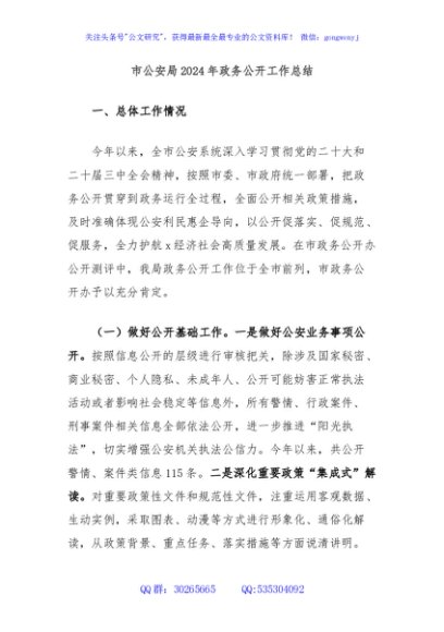 市公安局2024年政务公开工作总结