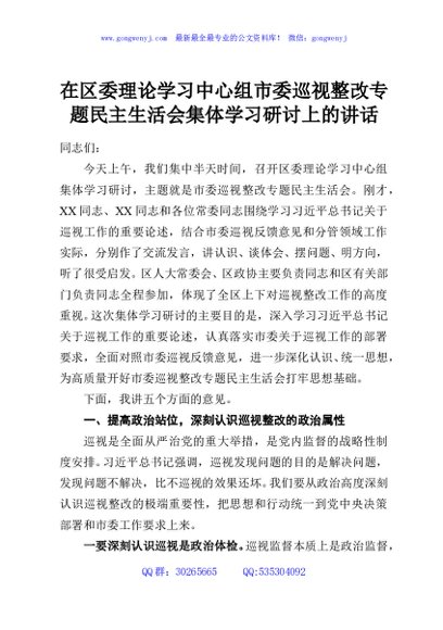 在区委理论学习中心组市委巡视整改专题民主生活会集体学习研讨上的讲话