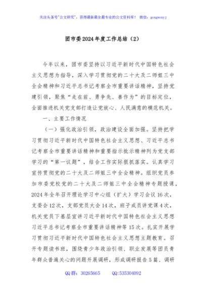 团市委2024年度工作总结（2）