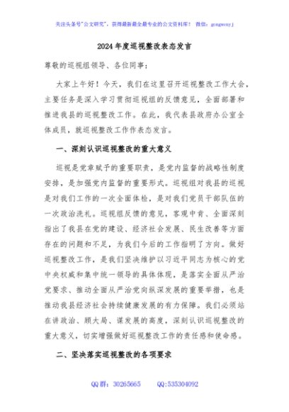 2024年度巡视整改表态发言