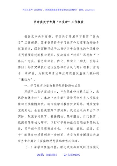 团市委关于专题“回头看”工作报告