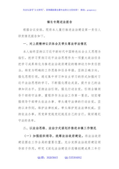 镇长专题述法报告