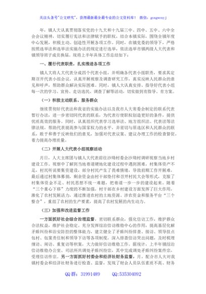 镇2022年上半年人大工作汇报