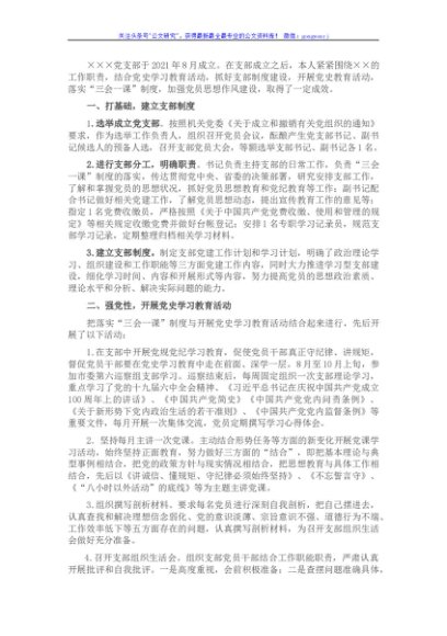 新成立党支部书记述职报告
