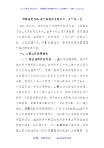 市商务局2024年工作情况总结及下一步工作计划