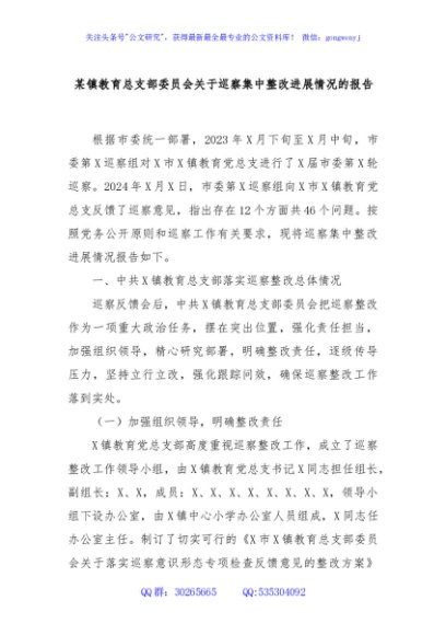 某镇教育总支部委员会关于巡察集中整改进展情况的报告