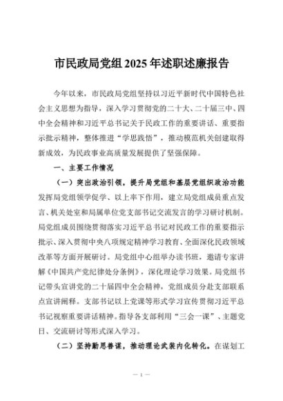 市民政局党组2025年述职述廉报告